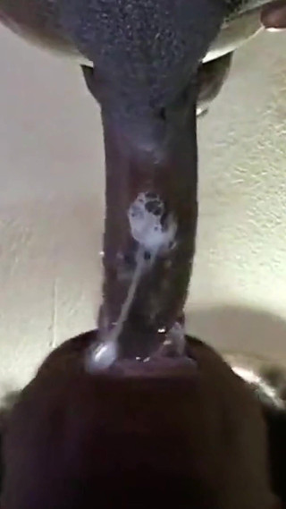 Super Sloppy Blowjob *best Blowjob Ever*