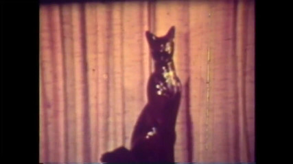 American Vintage Interracial Fuck for Two Girls and a Big Black Cock