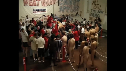 My Dear Black Cock - (vol. #01)